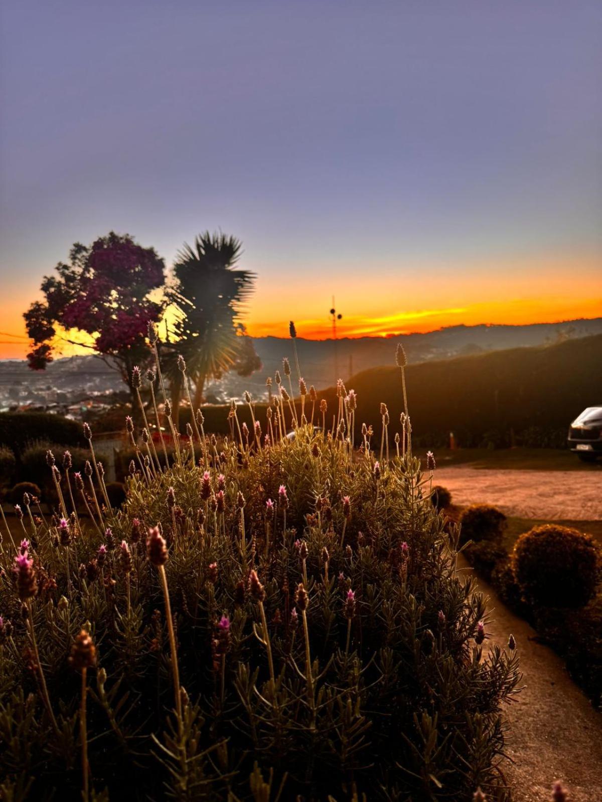 Pensão Araucaria Village 3*